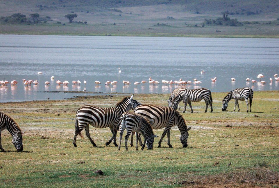 Tanzania