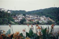 0 Image 0