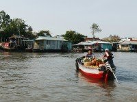 11 Image 11