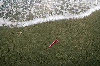 14 Image 14
