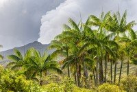 13 Image 13