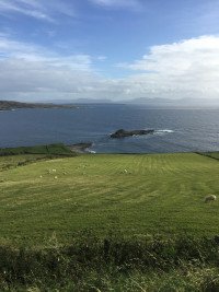 8 Image 8