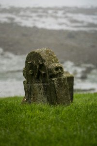 25 Image 25