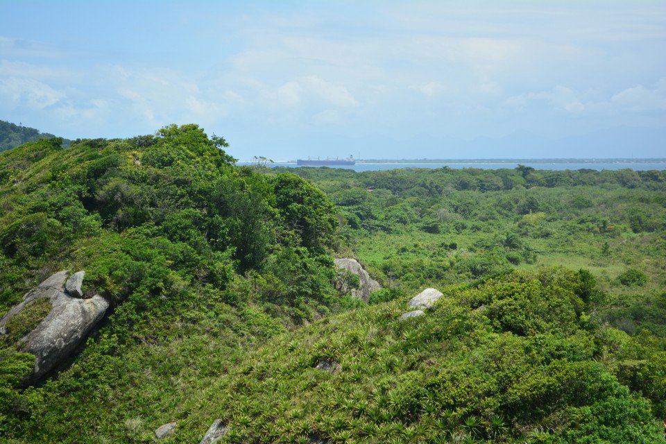 8 Image 8