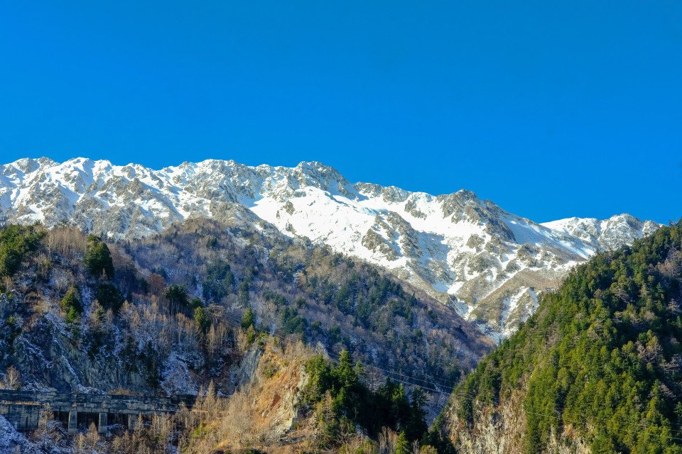 7 Image 7