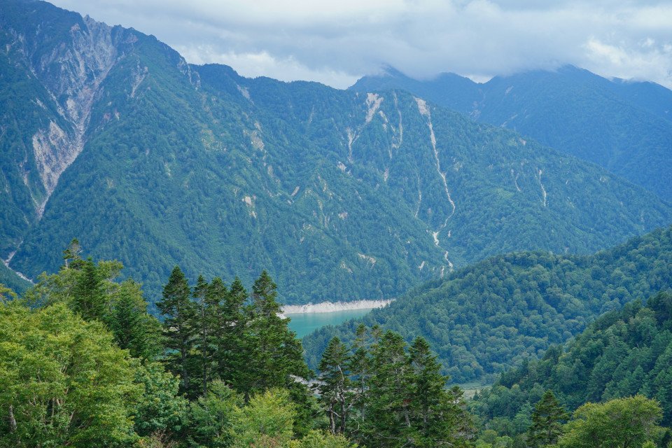 9 Image 9