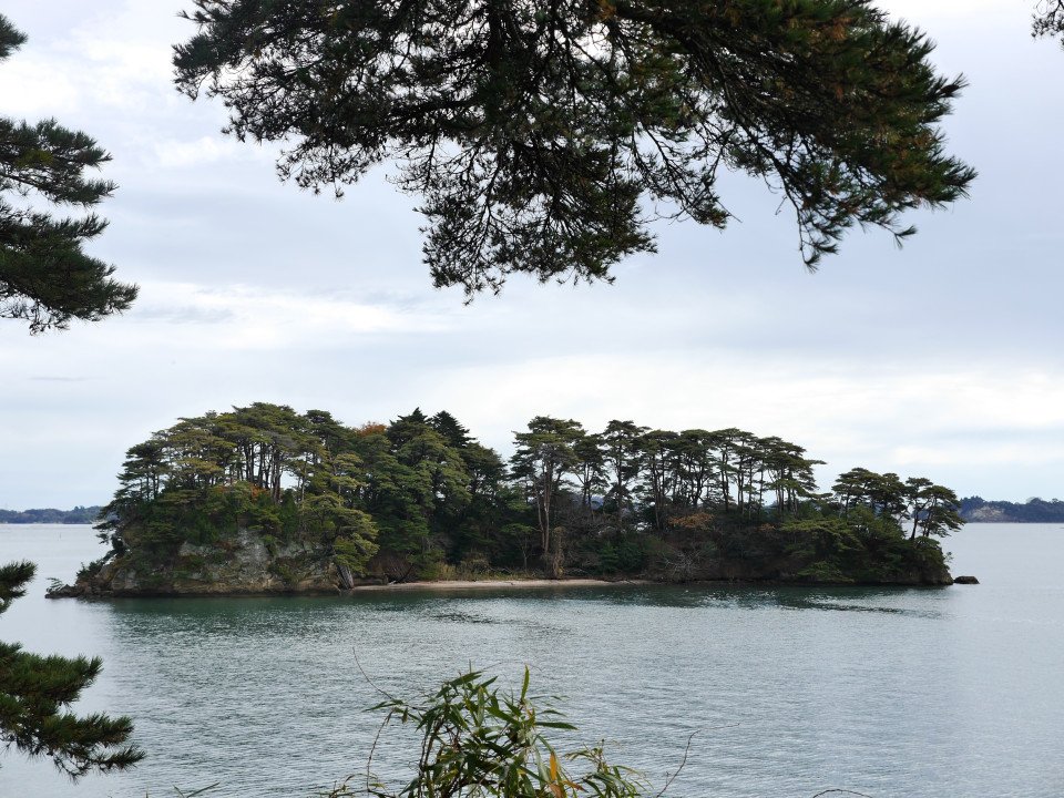 19 Image 19