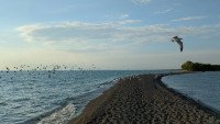 5 Image 5