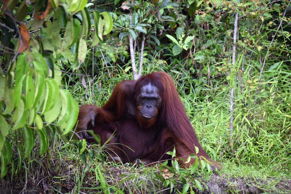 2 Image 2