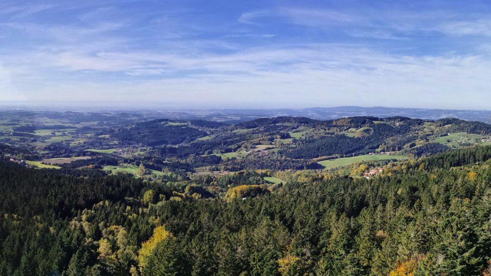 5 Image 5