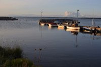 7 Image 7