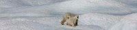 Antarctica Expedition