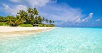 Tropics Expedition
