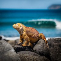 5 Image 5