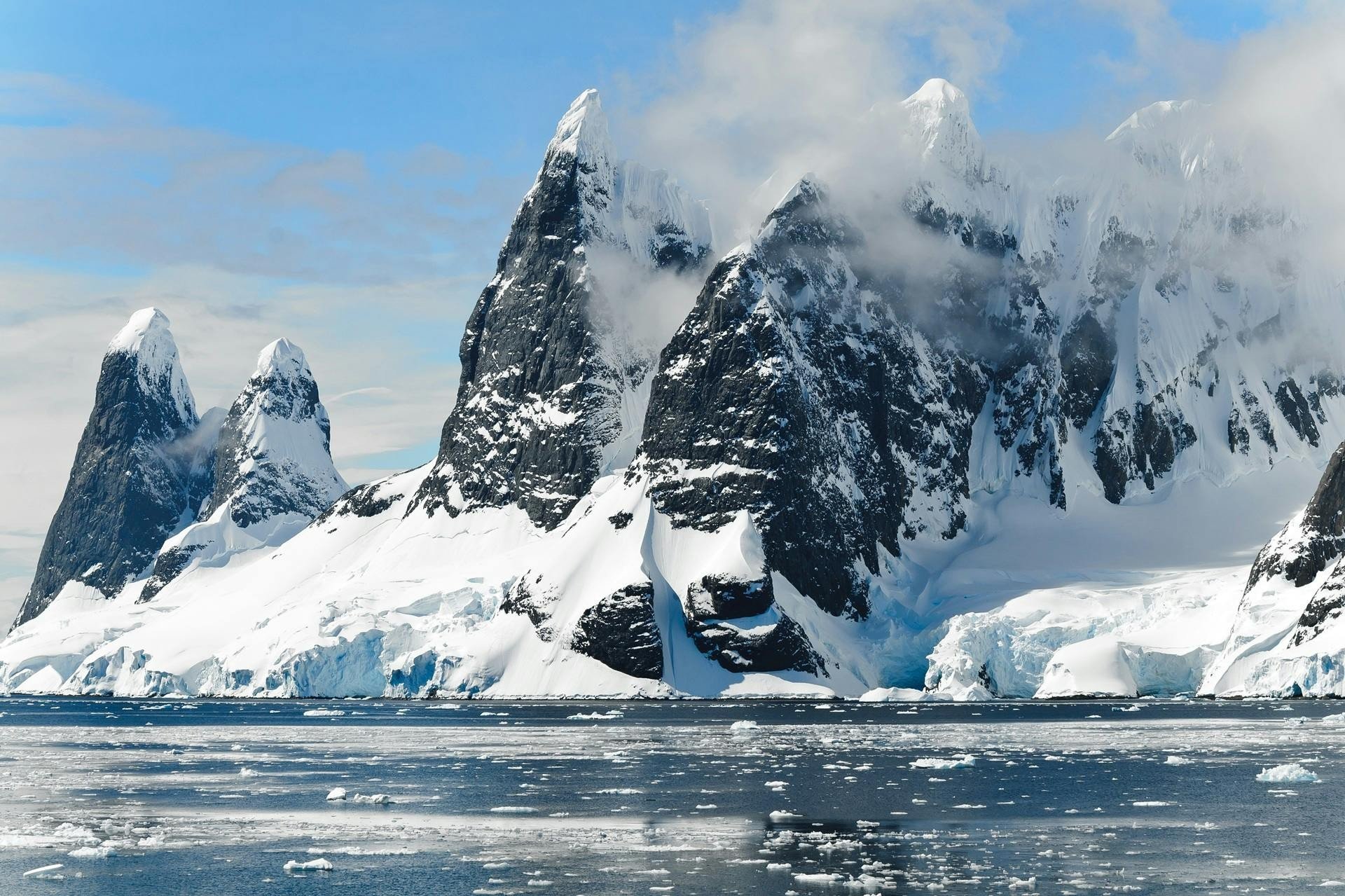 Region Image