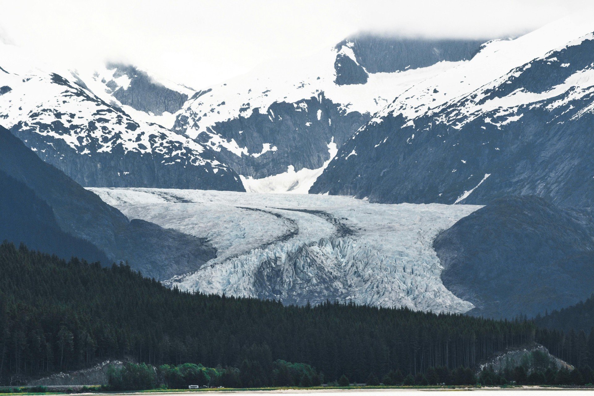 Region Image