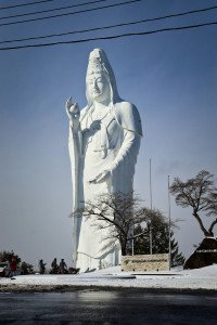 13 Image 13