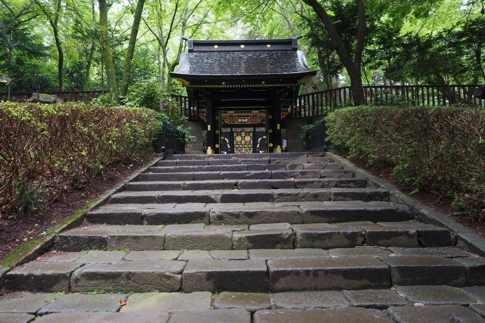 10 Image 10