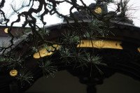 12 Image 12