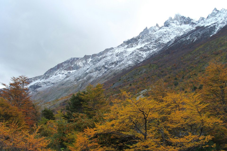 7 Image 7