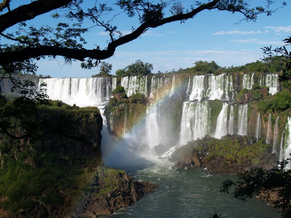7 Image 7