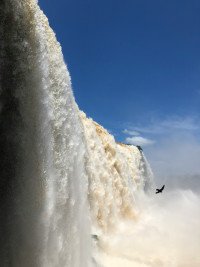 5 Image 5