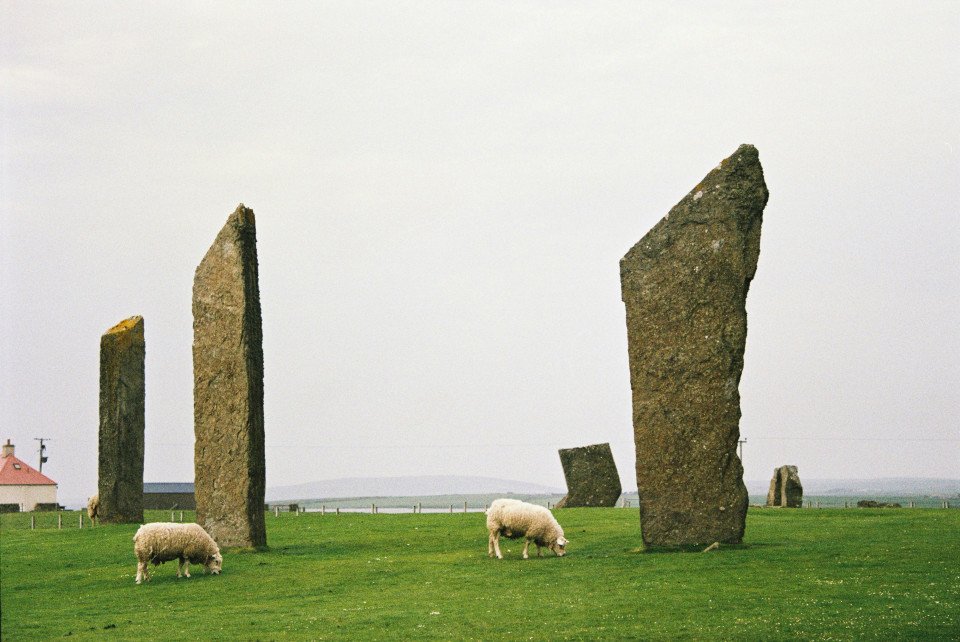 4 Image 4