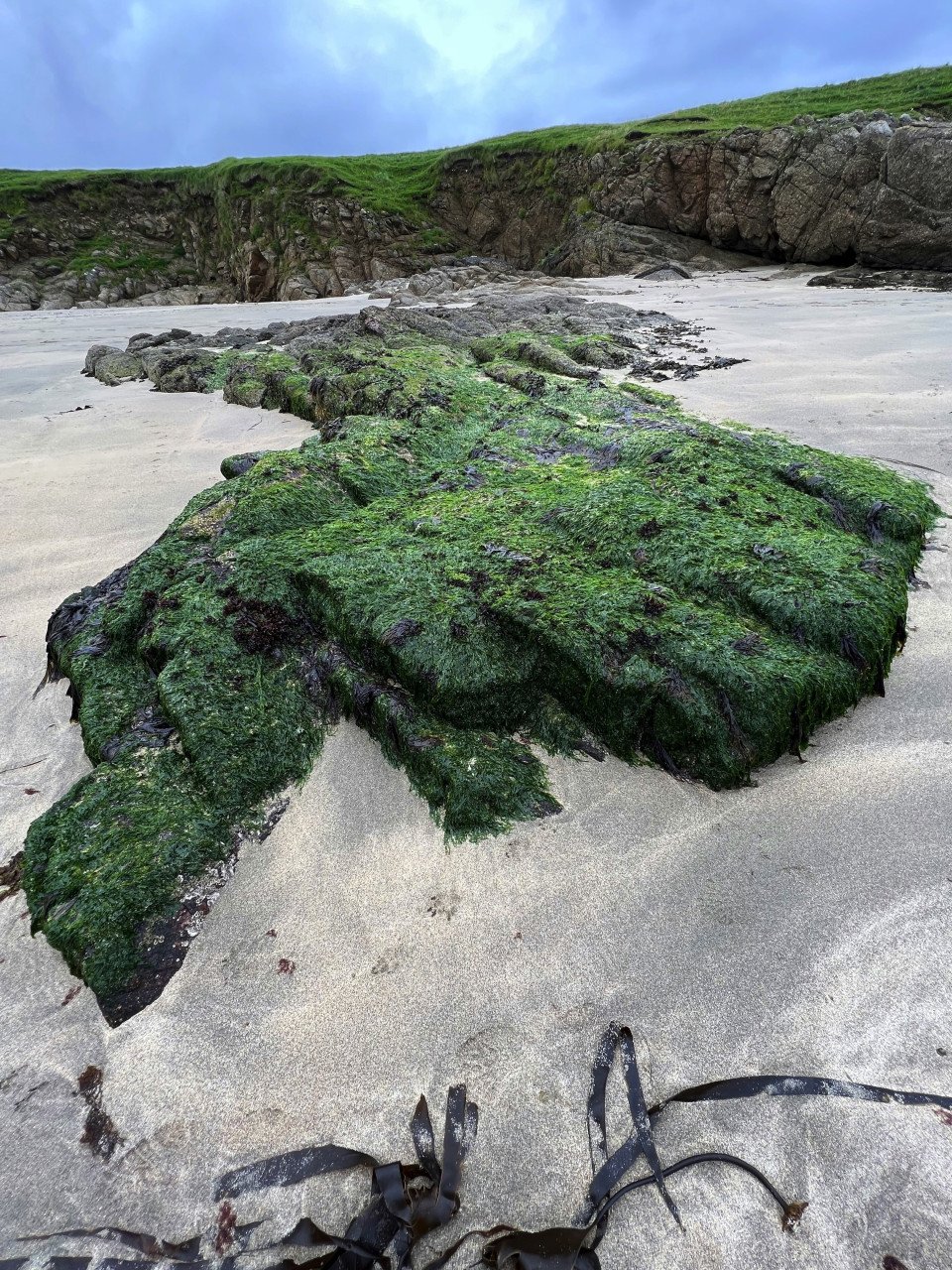 5 Image 5