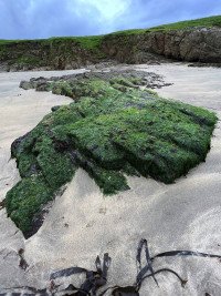 5 Image 5