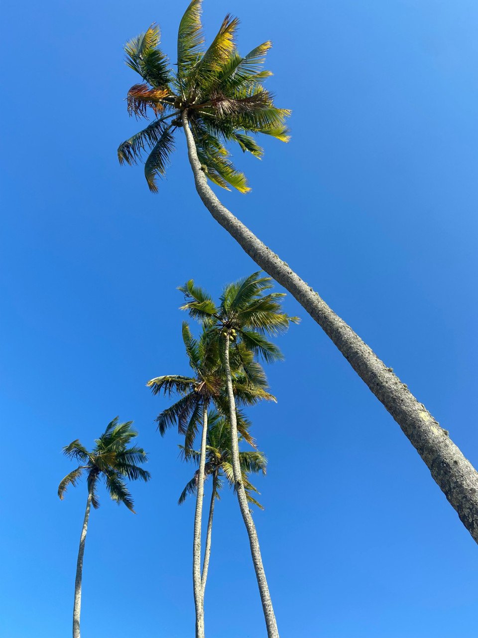 3 Image 3