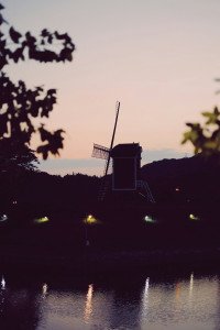 11 Image 11