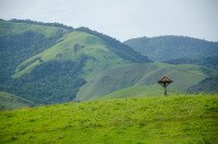 5 Image 5