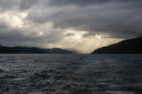 13 Image 13