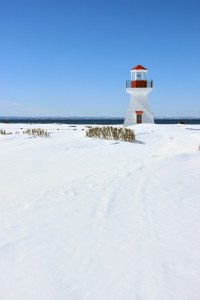 1 Image 1