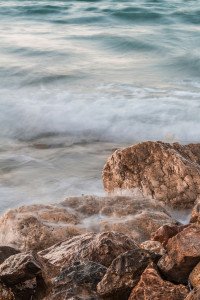 7 Image 7