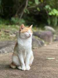 6 Image 6