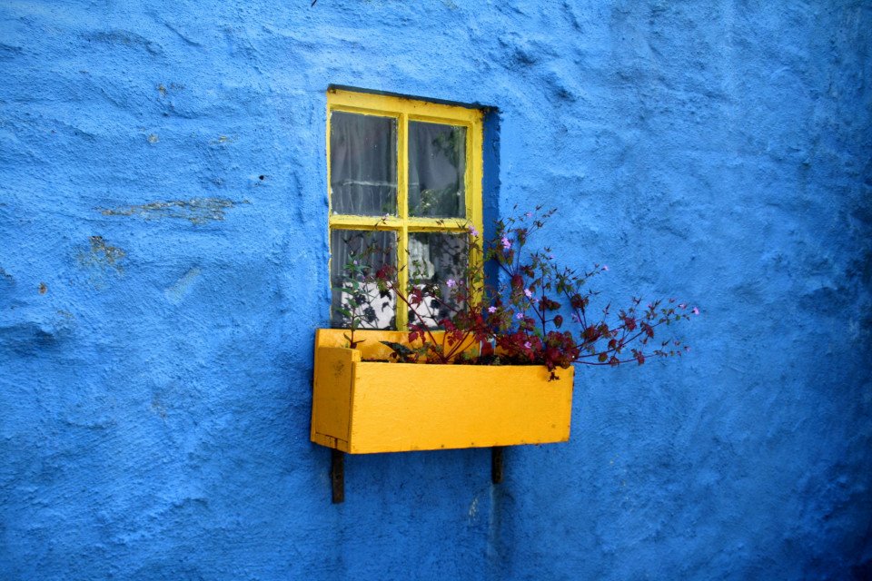 30 Image 30