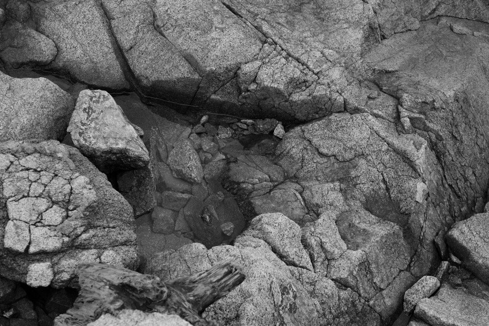 13 Image 13