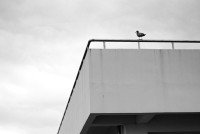15 Image 15