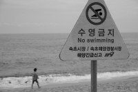 12 Image 12