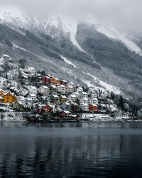 9 Image 9