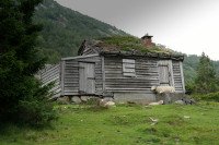 11 Image 11
