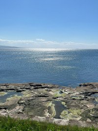 1 Image 1
