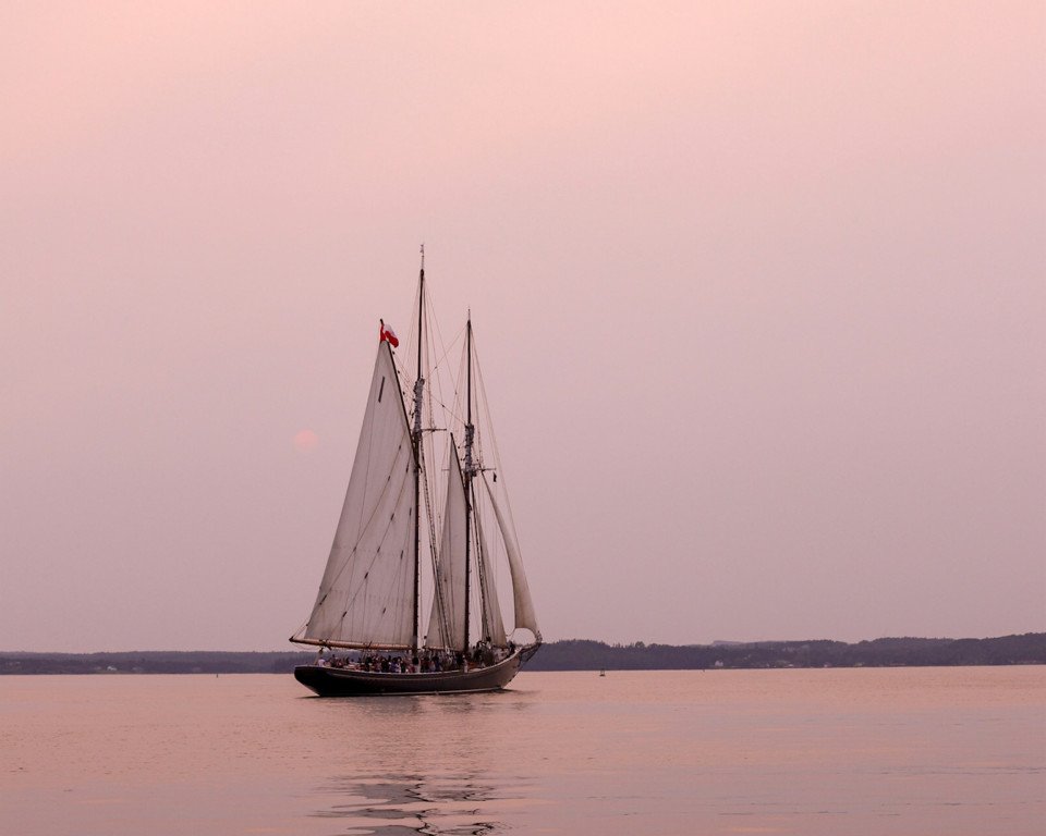 9 Image 9