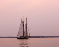 9 Image 9