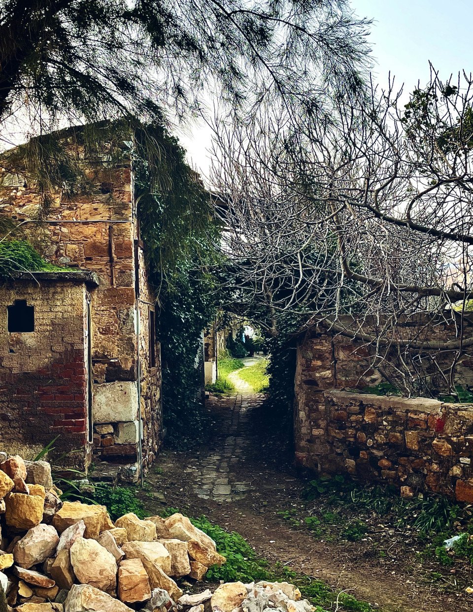 5 Image 5