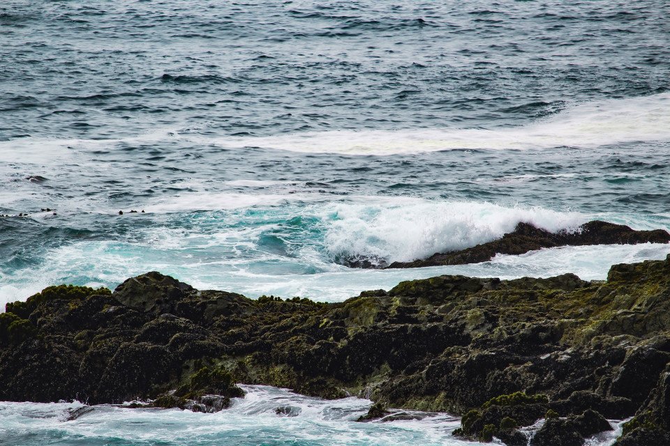 17 Image 17