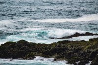17 Image 17