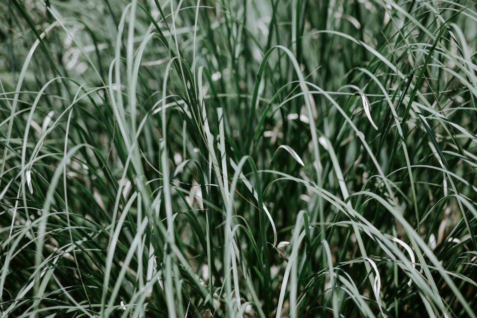 3 Image 3