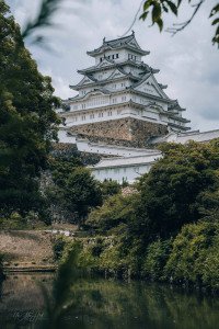 4 Image 4